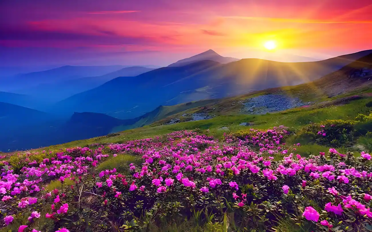 05 Days Gangtok & Lachung Tour Package