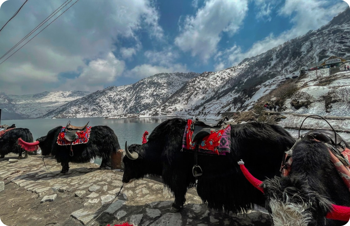 05 Days Darjeeling & Gangtok Tour Package